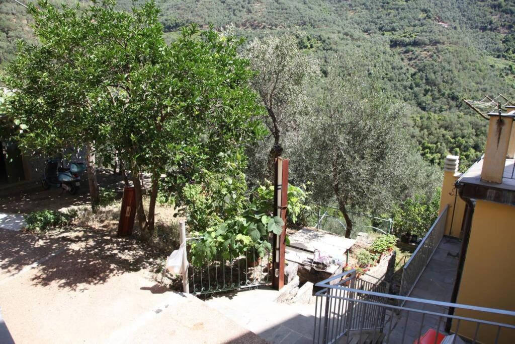 Le Case Della Lizza - Casa Verde Levanto Exteriér fotografie