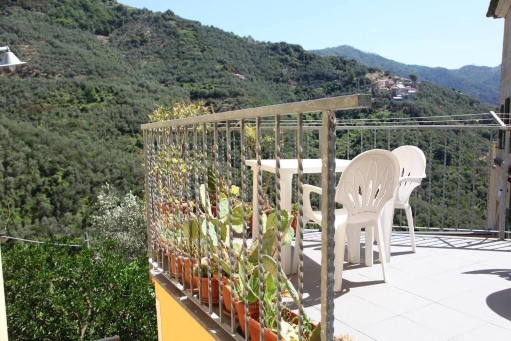 Le Case Della Lizza - Casa Verde Levanto Exteriér fotografie